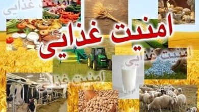 امنیت غذایی؛ اولویت راهبردی کشور در گرو تولید داخلی و خودکفایی / امنیت غذایی , خودکفایی , کشاورزی , تولید داخلی , اقتصاد مقاومتی