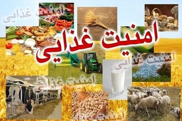امنیت غذایی؛ اولویت راهبردی کشور در گرو تولید داخلی و خودکفایی / امنیت غذایی , خودکفایی , کشاورزی , تولید داخلی , اقتصاد مقاومتی