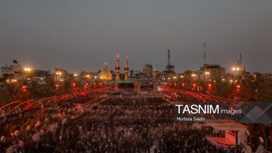 درباره گسترش همکاریهای اصفهان و کربلا بحث و گفتگو شد / اخبار اصفهان - اخبار استانها