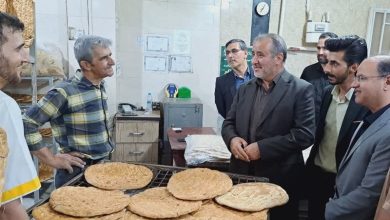 16 نانوایی جدید اردبیل به چرخه تولید نان کامل پیوستند / اخبار اردبیل - اخبار استانها