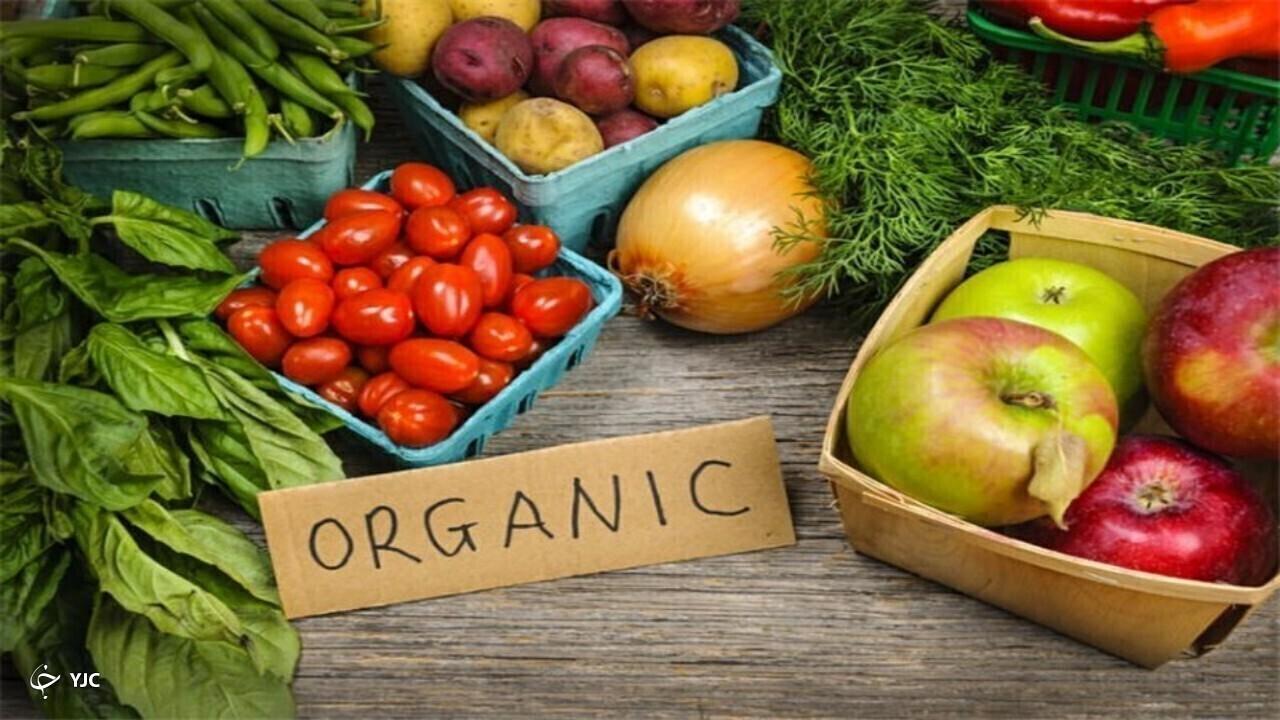 شناسنامهدار کردن محصولات کشاورزی؛ راهکار رفع مشکلات صادراتی و دفاع از کیفیت / صادرات محصولات کشاورزی , تولید ارگانیک , کیفیت محصولات , شناسنامه محصول , نظام مهندسی کشاورزی