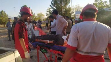 واژگونی وانت در محور هفتباغ کرمان با 21 مصدوم و 2 فوتی / اخبار کرمان - اخبار استانها
