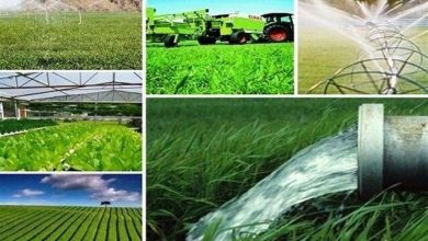 افزایش چشمگیر تعداد هنرستانهای کشاورزی؛ از ۵ واحد در سال ۱۴۰۰ به ۳۷ واحد / هنرستان کشاورزی , جهاد کشاورزی , مهارتآموزی , تولید کشاورزی , توسعه روستایی