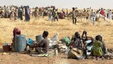 ارتش سودان کنترل شهر راهبردی «سودری» را به دست گرفت