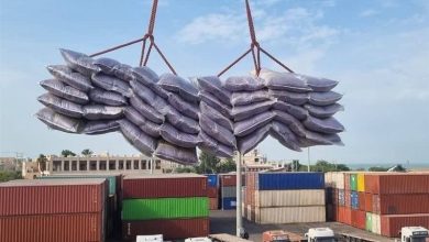 افزایش 368 درصدی ظرفیت کالای اساسی از استان بوشهر / اخبار بوشهر - اخبار استانها