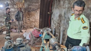 ضربه به قاچاقچیان چوب در گلستان؛ تشکیل 278 پرونده برای متخلفان / اخبار گلستان - اخبار استانها