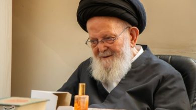 آیتالله حسینیزنجانی ارتحال آیتالله شبیری زنجانی را تسلیت گفت / اخبار زنجان - اخبار استانها
