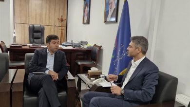معاون وزیر:ایجاد منطقه آزاد مشترک ایران، افغانستان و چین پیگیری میشود / اخبار خراسان جنوبی - اخبار استانها