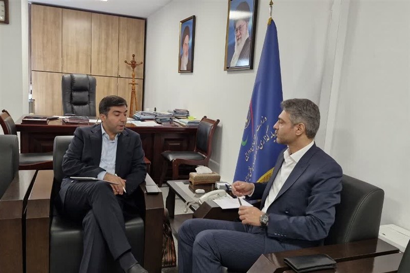 معاون وزیر:ایجاد منطقه آزاد مشترک ایران، افغانستان و چین پیگیری میشود / اخبار خراسان جنوبی - اخبار استانها