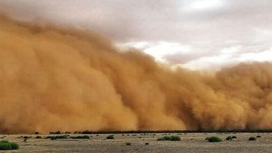 گسترش کانونهای گرد و غبار در گلستان/ شرایط اضطراری در خلیج گرگان! / اخبار گلستان - اخبار استانها