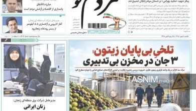 مرور مطبوعات زنجان در 5 مهر/تلخی بیپایان زیتون / اخبار زنجان - اخبار استانها
