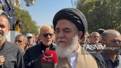 آیتالله شبیری زنجانی شاگردان بسیاری تربیت کرد+ فیلم / اخبار قم - اخبار استانها