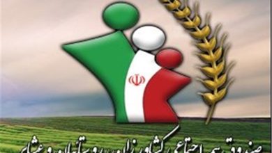 بیمه روستایی کردستان روی ریل توسعه؛ پوششی 2برابری نسبت به میانگین کشور / اخبار کردستان - اخبار استانها
