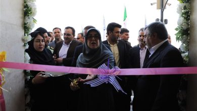 سخنگوی دولت: مسیر توسعه کشور با همدلی مردم هموار میشود / اخبار ایلام - اخبار استانها