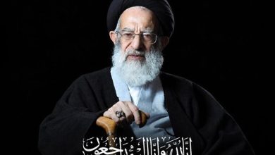 ارتحال آیتالله شبیری زنجانی ضایعهای جبرانناپذیر برای جهان اسلام است / اخبار فارس - اخبار استانها