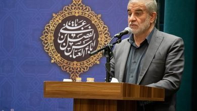 جوکار: خرید مستقیم میوه از تولیدکننده باید جای واسطهگری را بگیرد / اخبار یزد - اخبار استانها