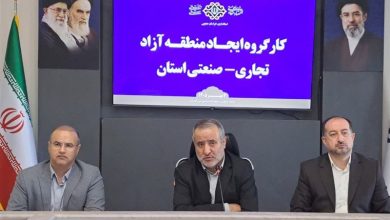 منطقه آزاد خراسان جنوبی به پیشران توسعه اقتصادی تبدیل شود / اخبار خراسان جنوبی - اخبار استانها
