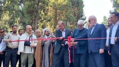 شیراز سبزتر و صاحب مقصدهای جدید گردشگری شد / اخبار فارس - اخبار استانها
