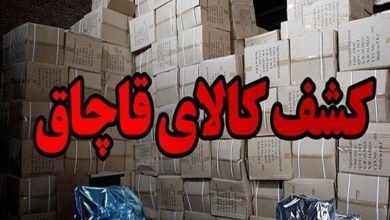 کشف 240 میلیارد ریال کالای احتکاری و قاچاق در بروجرد / اخبار لرستان - اخبار استانها