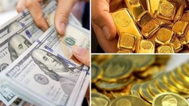 تحلیل عضو کمیسیون اقتصادی از علت جهش دلار؛ تقاضای واقعی یا بازی بازار؟ / اخبار سیاسی روز , اخبار مجلس