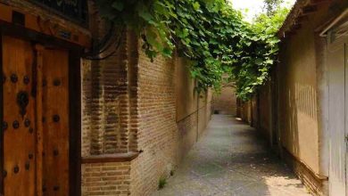 شهرداری ویژه؛ نسخه گرگان برای نجات بافت تاریخی از مدیریت جزیرهای / اخبار گلستان - اخبار استانها