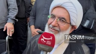 آیتالله شبیری زنجانی از ستارههای قدر اول آسمان مرجعیت شیعه بود+ فیلم / اخبار قم - اخبار استانها