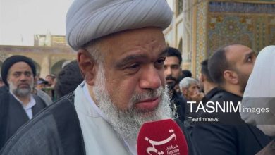 آیتالله شبیری زنجانی مرد میدان علم رجال و تحقیق نسخ بود+ فیلم / اخبار قم - اخبار استانها