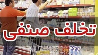 کشف 2 هزار و 774 تخلف صنفی در کردستان / اخبار کردستان - اخبار استانها