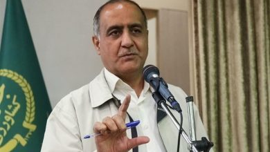 توانمندسازی 100 بانوی کارآفرین روستایی و عشایری با محور فروش اینترنتی / اخبار اردبیل - اخبار استانها