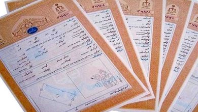 صدور 125 هزار سند مالکیت تکبرگ در فارس در کمتر از 6 ماه / اخبار فارس - اخبار استانها