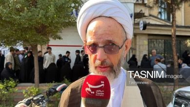 آیتالله شبیری زنجانی نمونه اندیشه مجتهدانه خلاق بود+ فیلم / اخبار قم - اخبار استانها
