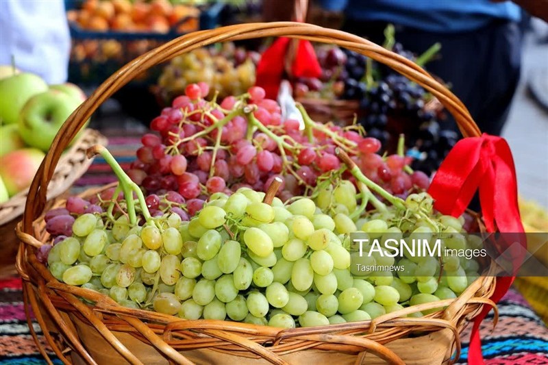 جشنواره انگور ابهر؛ گامی برای معرفی هویت زنجان در سطح بینالمللی / اخبار زنجان - اخبار استانها