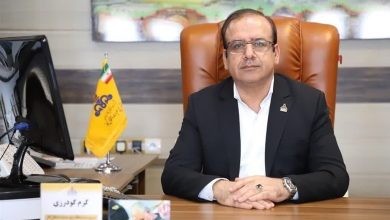 انتقال 160 میلیارد مترمکعب گاز از شبکه منطقه 5 عملیات انتقال گاز / اخبار فارس - اخبار استانها
