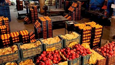 مطلوبیت تولید میوههای پاییزی در تهران؛ کاهش حاشیه سود باغداران / اتحادیه باغداران تهران , میوه پاییزی , هزینه تولید , قیمت محصولات کشاورزی , صادرات میوه