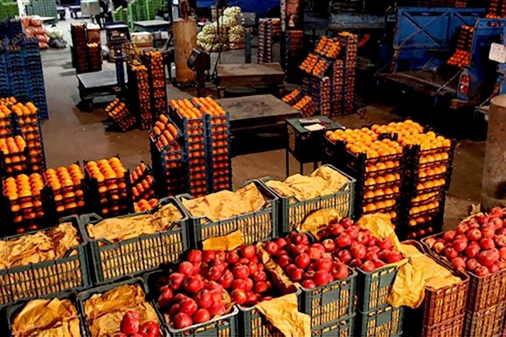 مطلوبیت تولید میوههای پاییزی در تهران؛ کاهش حاشیه سود باغداران / اتحادیه باغداران تهران , میوه پاییزی , هزینه تولید , قیمت محصولات کشاورزی , صادرات میوه