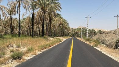 افتتاح 66 پروژه راهداری با سرمایهگذاری بیش از 2 همت در استان بوشهر / اخبار بوشهر - اخبار استانها