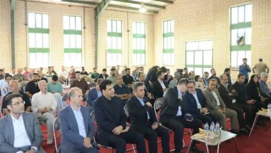 «مبل و منبت» به نشان تجاری و برند ملایر تبدیل شد / اخبار همدان - اخبار استانها