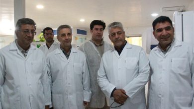 برنامهریزی برای احداث 2 تا 3 مجتمع کشت و صنعت جدید در ایلام / اخبار ایلام - اخبار استانها