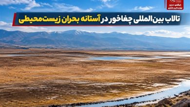 گزارش|تالاب بینالمللی چغاخور در آستانه بحران زیستمحیطی / اخبار چهارمحال و بختیاری - اخبار استانها