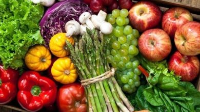 ابلاغ قانون پشتیبانی و رفع موانع تولید کشاورزی / اخبار سیاسی روز , اخبار مجلس