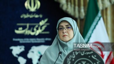 مهاجرانی: 80درصد طلب گندمکاران پرداخت شد/ تدابیر حمایت از معیشت مردم / اخبار سیاسی روز , اخبار دولت