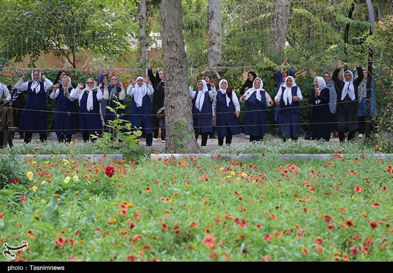 جشنواره سرو در آذربایجان شرقی برگزار میشود / اخبار آذربایجان شرقی - اخبار استانها