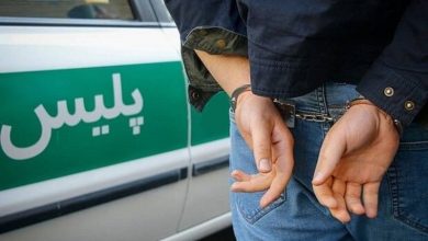 جزئیات عملیات پلیس علیه سارقان و متخلفان در لرستان / اخبار لرستان - اخبار استانها