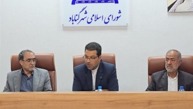 پروژه «گناباد؛ شهر سفید ایران» آغاز شد / اخبار خراسان رضوی - اخبار استانها