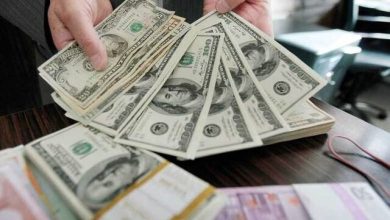 تامین مالی ارزی صنایع صادراتمحور با صندوقهای سرمایهگذاری مردمی؛ طرح جدید وزارت اقتصاد / صندوق ارزی , طرح رویش , تامین مالی ارزی , صنایع صادراتمحور , سرمایهگذاری مردمی