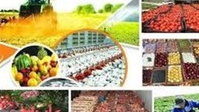 چرا سرمایهگذاران از شهرک صنعتی خدابنده فاصله میگیرند؟ / اخبار زنجان - اخبار استانها