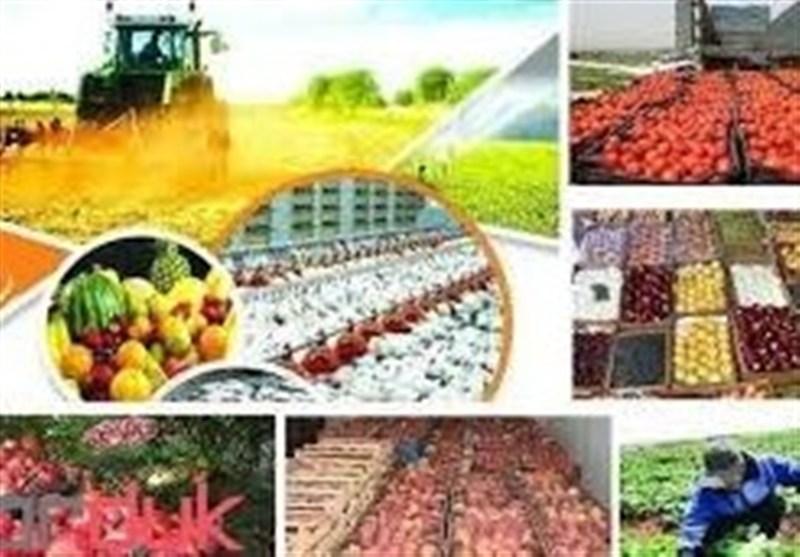 چرا سرمایهگذاران از شهرک صنعتی خدابنده فاصله میگیرند؟ / اخبار زنجان - اخبار استانها