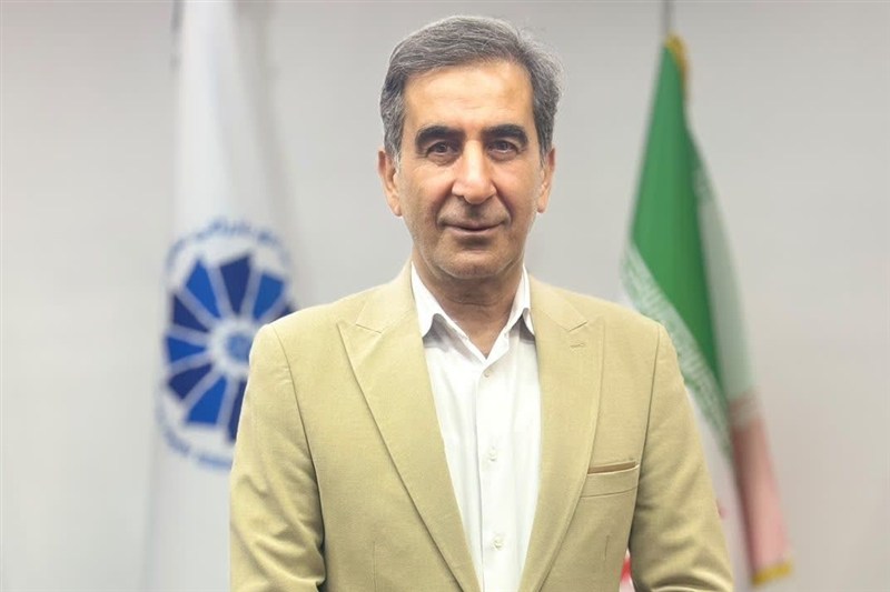 چرا ظرفیتهای اقتصادی بوشهر به اشتغال جوانان تبدیل نمیشود؟ / اخبار بوشهر - اخبار استانها