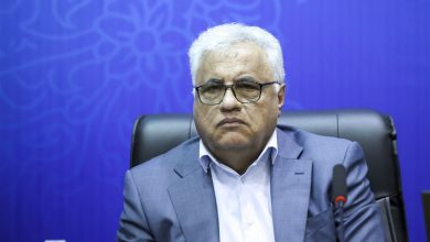 اقتصاد گردشگری 22 شهر فارس برندسازی میشود / اخبار فارس - اخبار استانها
