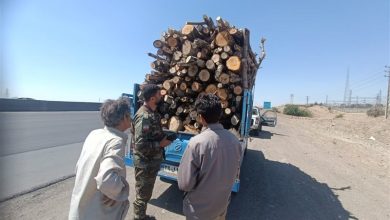 توقیف خودروی حامل چوبآلات قاچاق در محور مواصلاتی کرج-قزوین / اخبار البرز - اخبار استانها